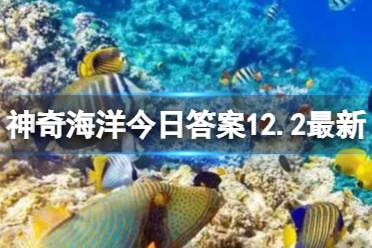 “海肠”是一种什么底栖还是浮游植物 神奇海洋今日答案12.2最新