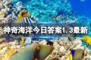 体表看似光滑的鲨鱼也有鳞片吗 神奇海洋今日答案1.3最新