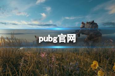 pubg官网 pubg官网地址