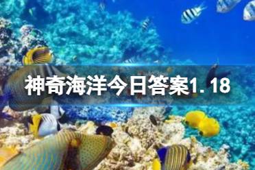 在海底景观中，人们将哪种现象称为“杰克风暴”？ 神奇海洋今日答案1.18