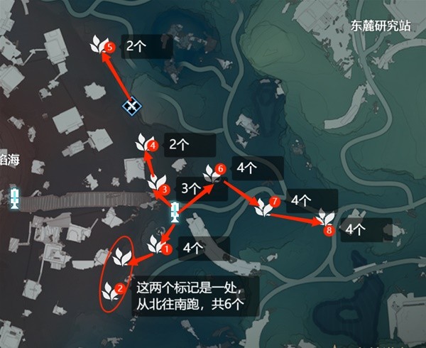 鸣潮妙弋花高效采集路线分享